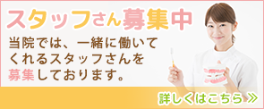 スタッフさん募集！